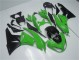 Vert Noir Carrosserie Moto Kawasaki ZX6R 2009-2012